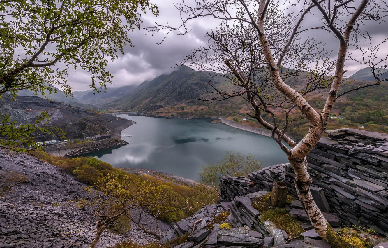 Photo wallpaper trees, mountains, nature, lake, stones, Wales