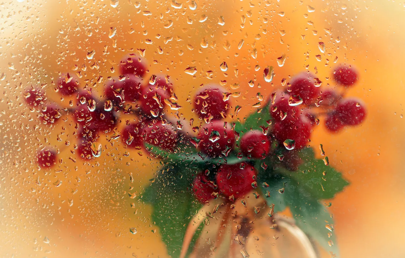 Photo wallpaper glass, drops, berries