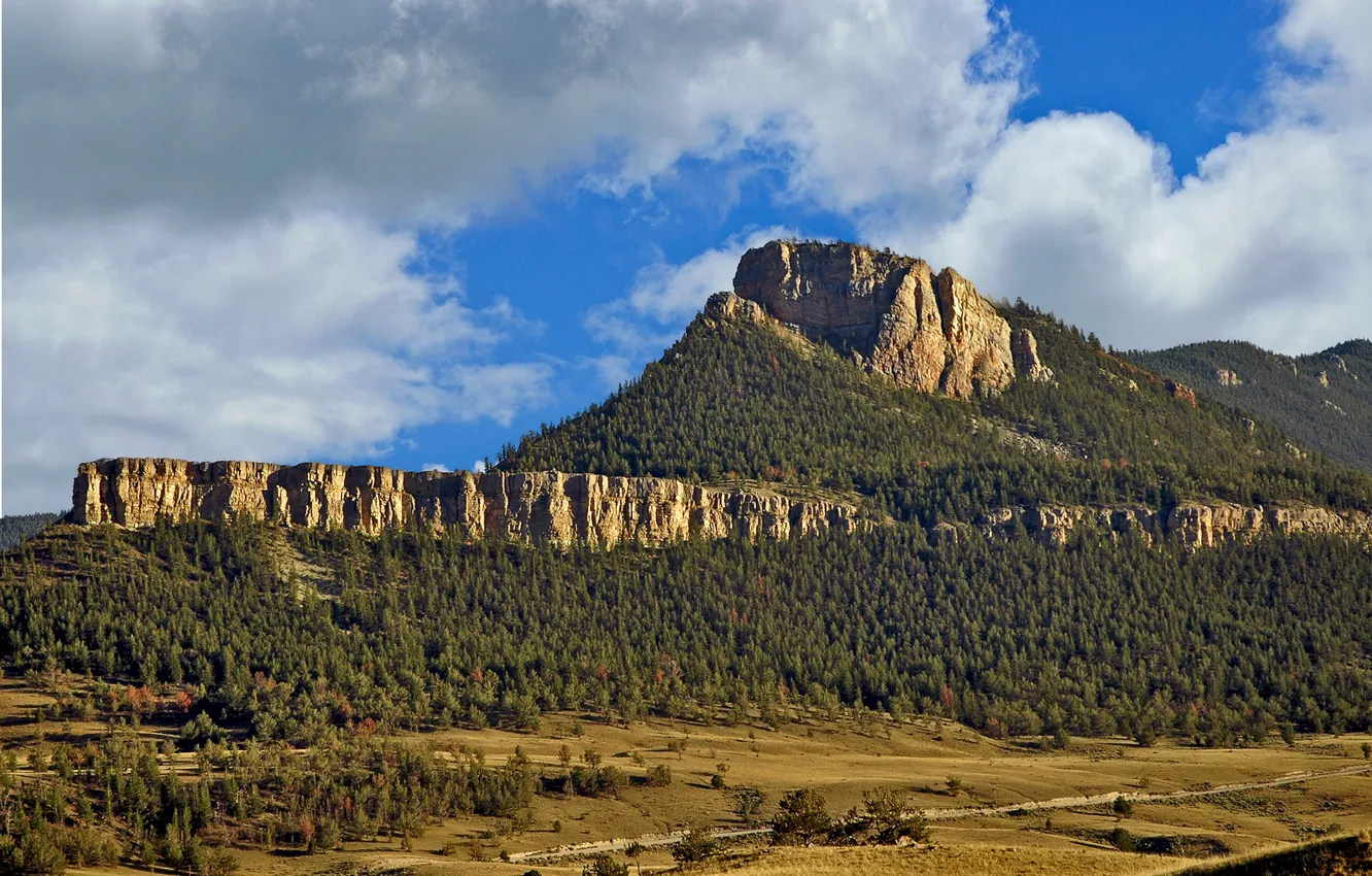 Photo wallpaper forest, the sky, clouds, trees, mountains, rocks, valley