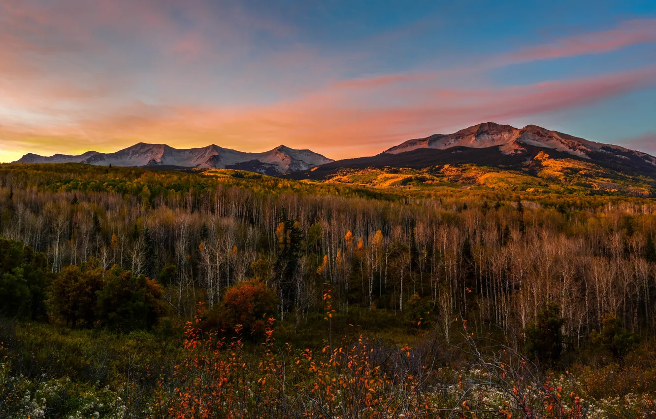 Photo wallpaper autumn, forest, mountains, view