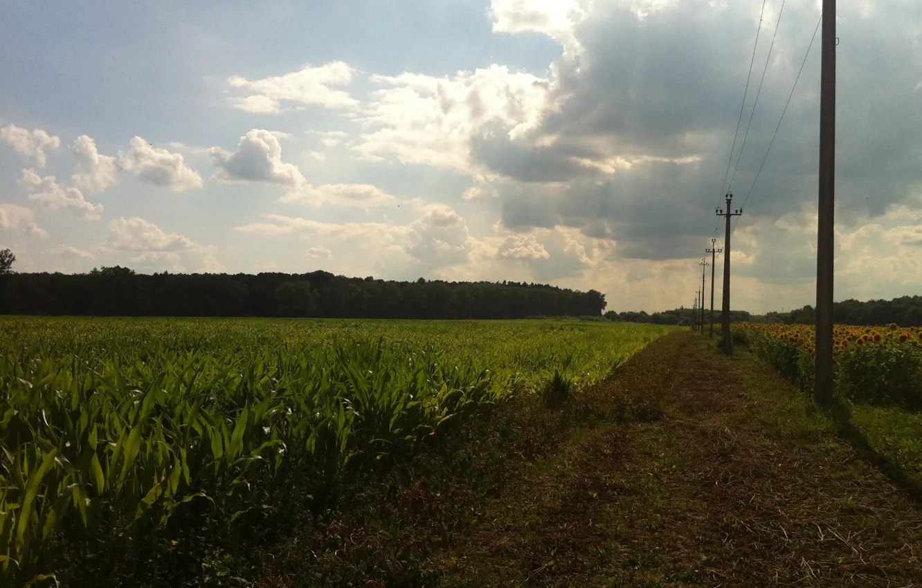Photo wallpaper road, field, clouds, sonyashnik