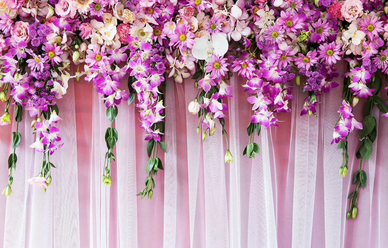 Wallpaper Flowers, texture, tulle, decoration flowers, drape, flower ...