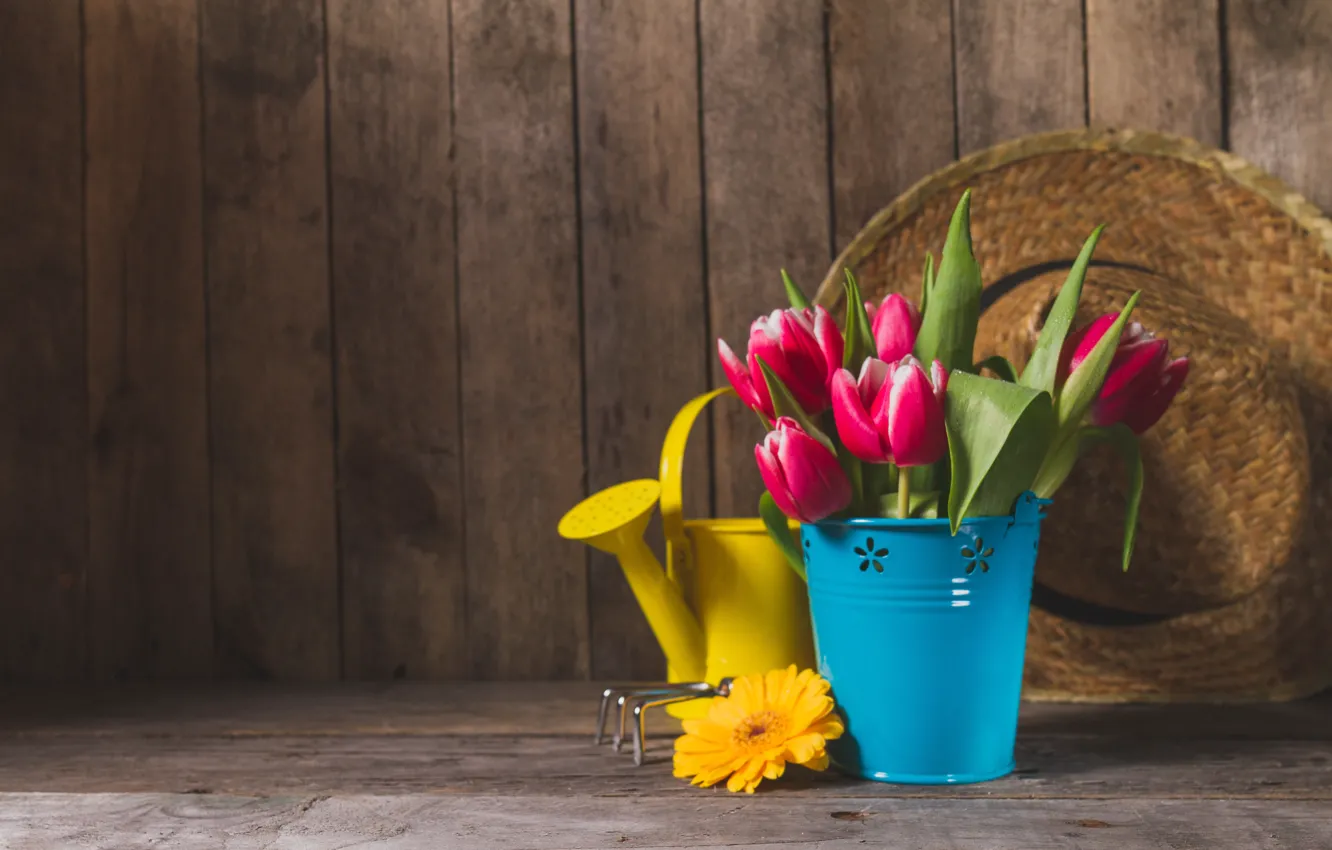 Photo wallpaper flowers, red, Board, bouquet, spring, hat, bucket, tulips