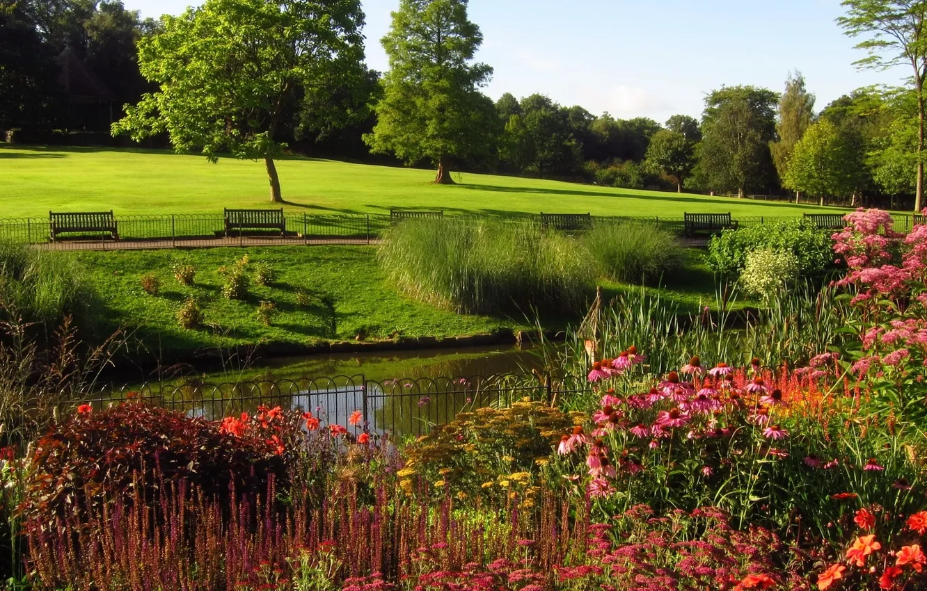 Photo wallpaper pond, Park, photo, tree, glade, the fence