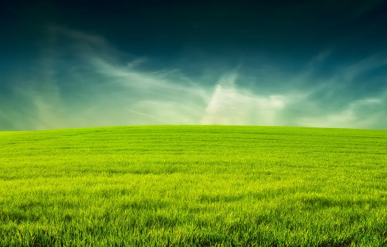 Photo wallpaper the sky, grass, space