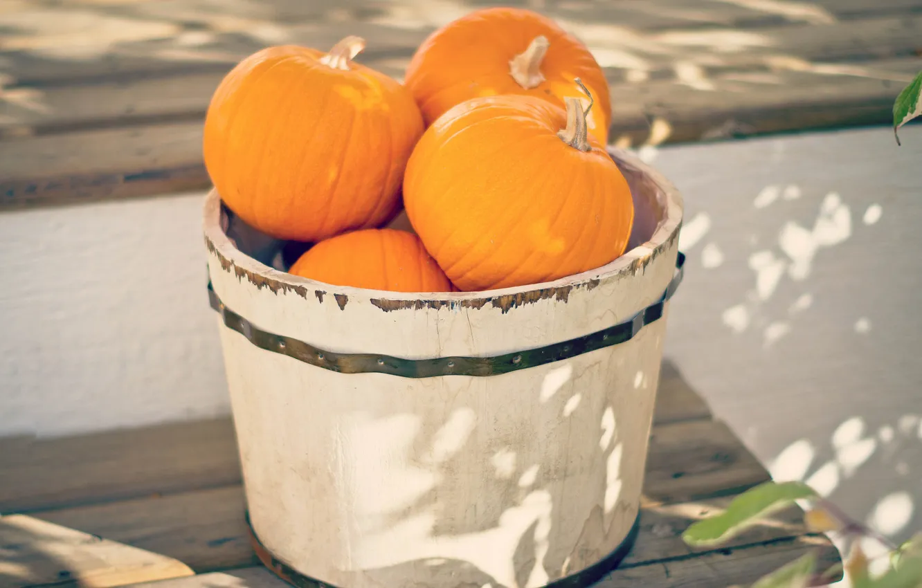 Photo wallpaper table, shadow, bucket, pumpkin, sunlight