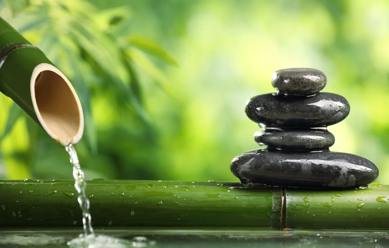 Photo wallpaper water, green, stones, flat, black, calm, bamboo, blur