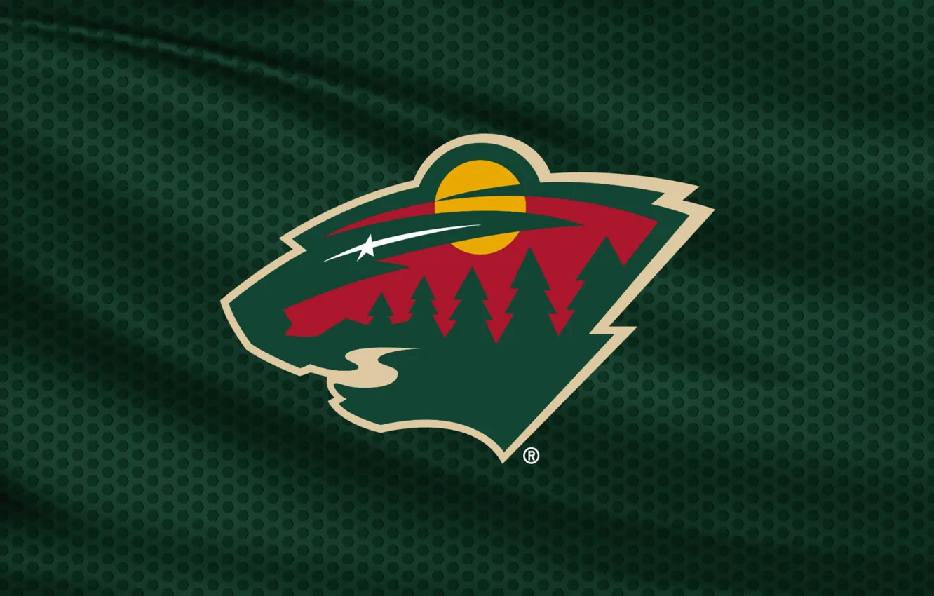 Photo wallpaper USA, Minnesota Wild, NHL, Saint Paul, Minnesota Wild, hockey club