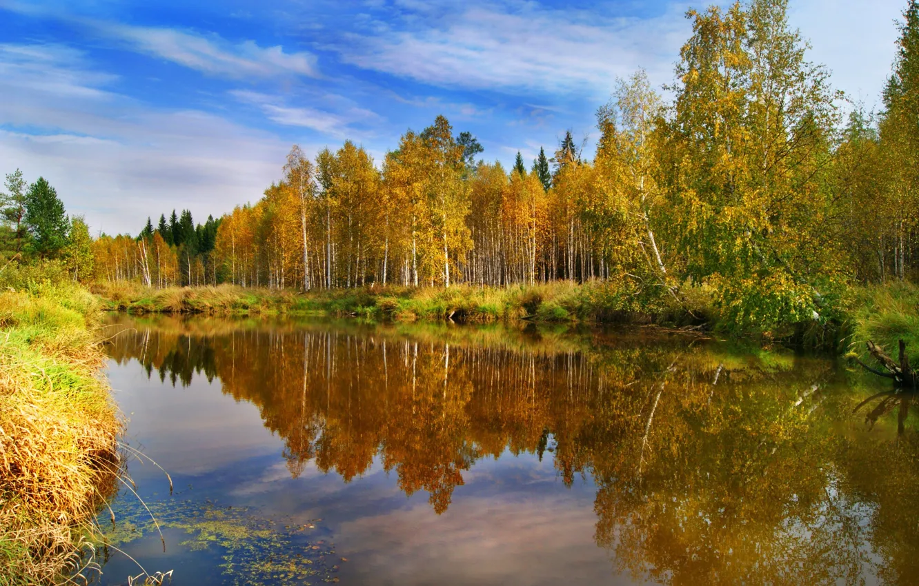 Photo wallpaper autumn, nature, reflection, Golden autumn