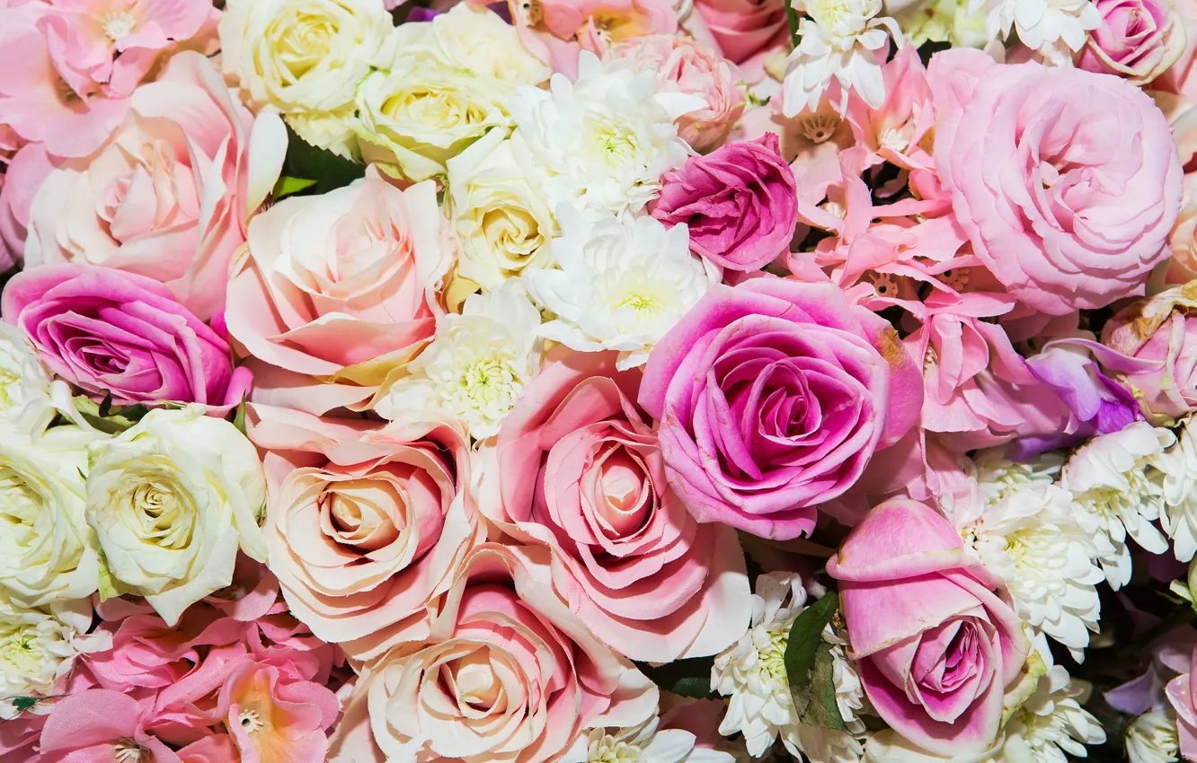 Photo wallpaper flowers, background, roses, pink, buds, pink, flowers, roses