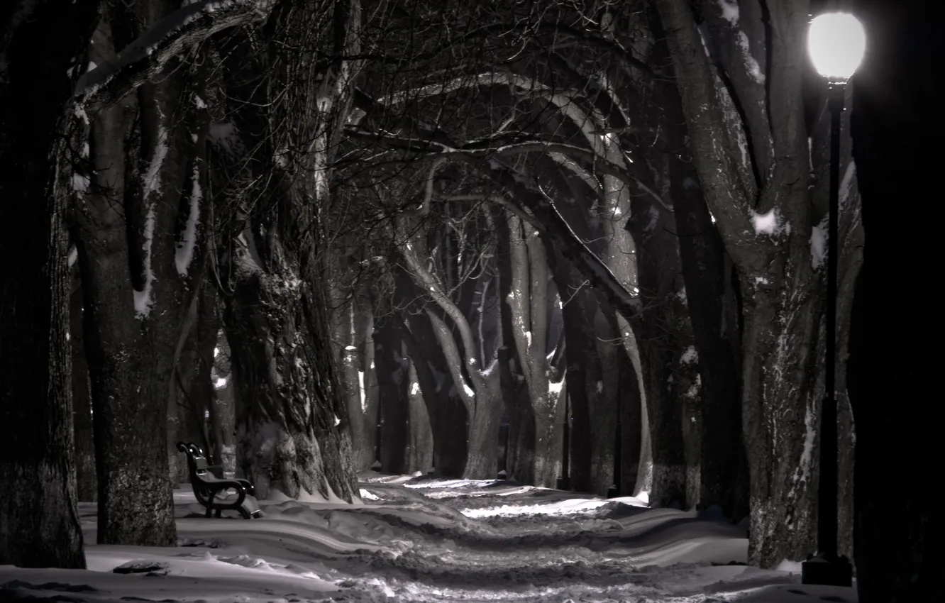Photo wallpaper snow, night, shop, lantern, promenade, black and white