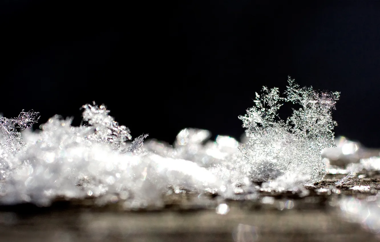 Photo wallpaper winter, macro, snowflakes, Shine