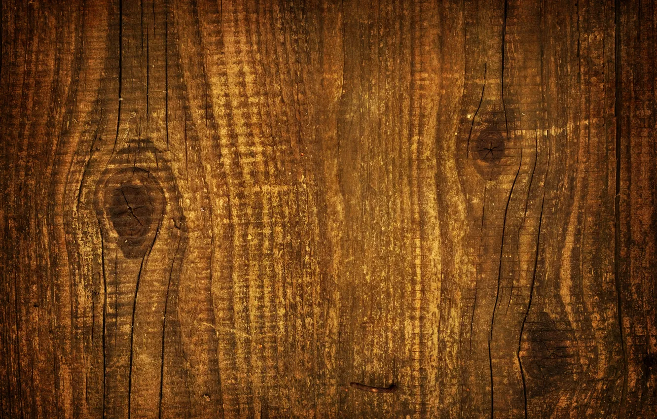 Photo wallpaper tree, texture, bitches, Board