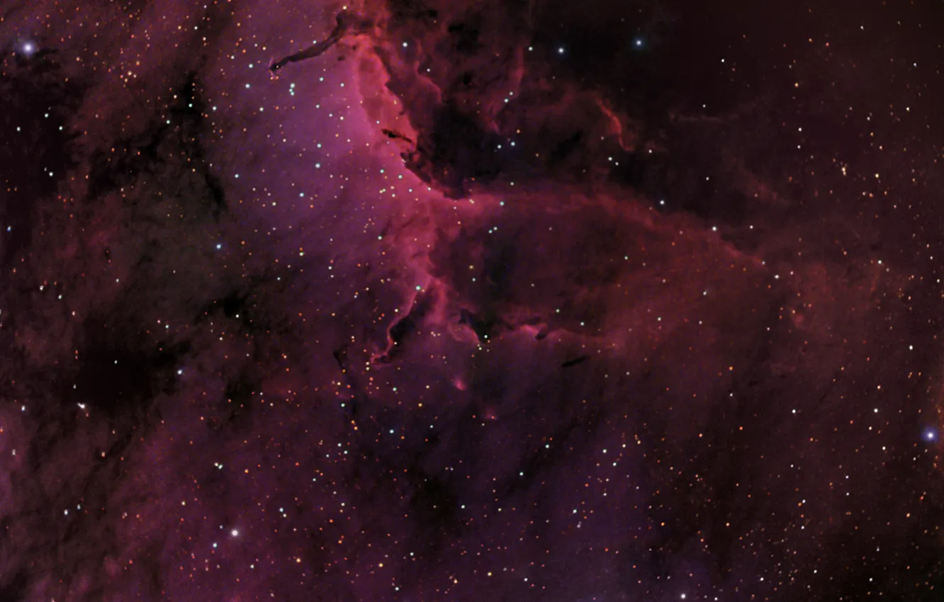 Photo wallpaper space, The Pelican Nebula, constellation, the universe, IC5067