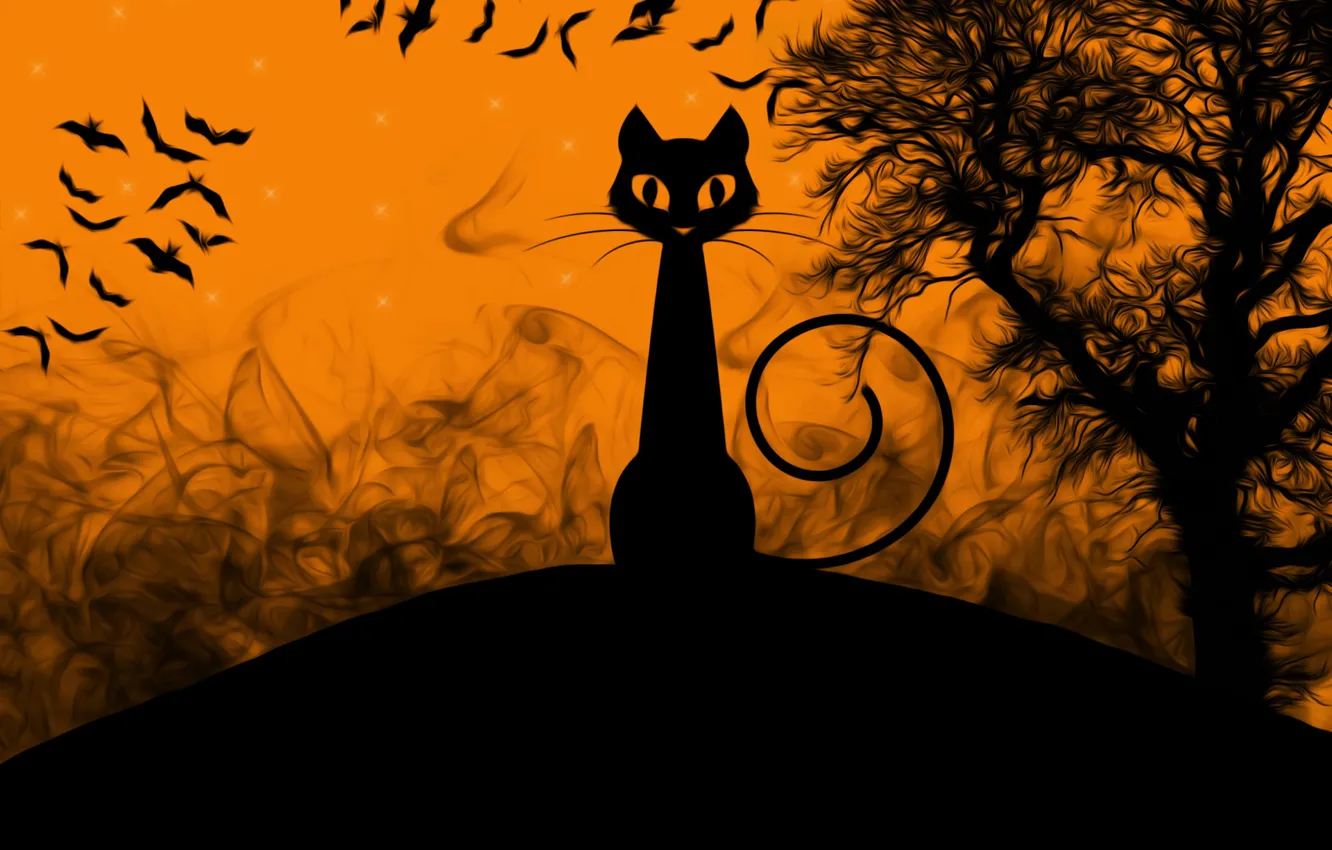 Photo wallpaper cat, Halloween, picture