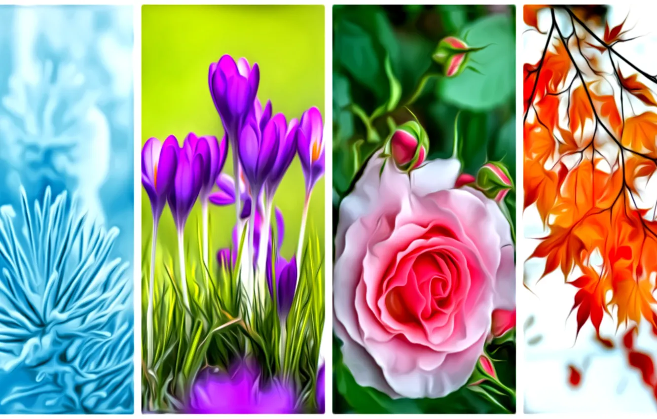 Photo wallpaper leaves, flowers, rendering, seasons, collage, picture, leresti