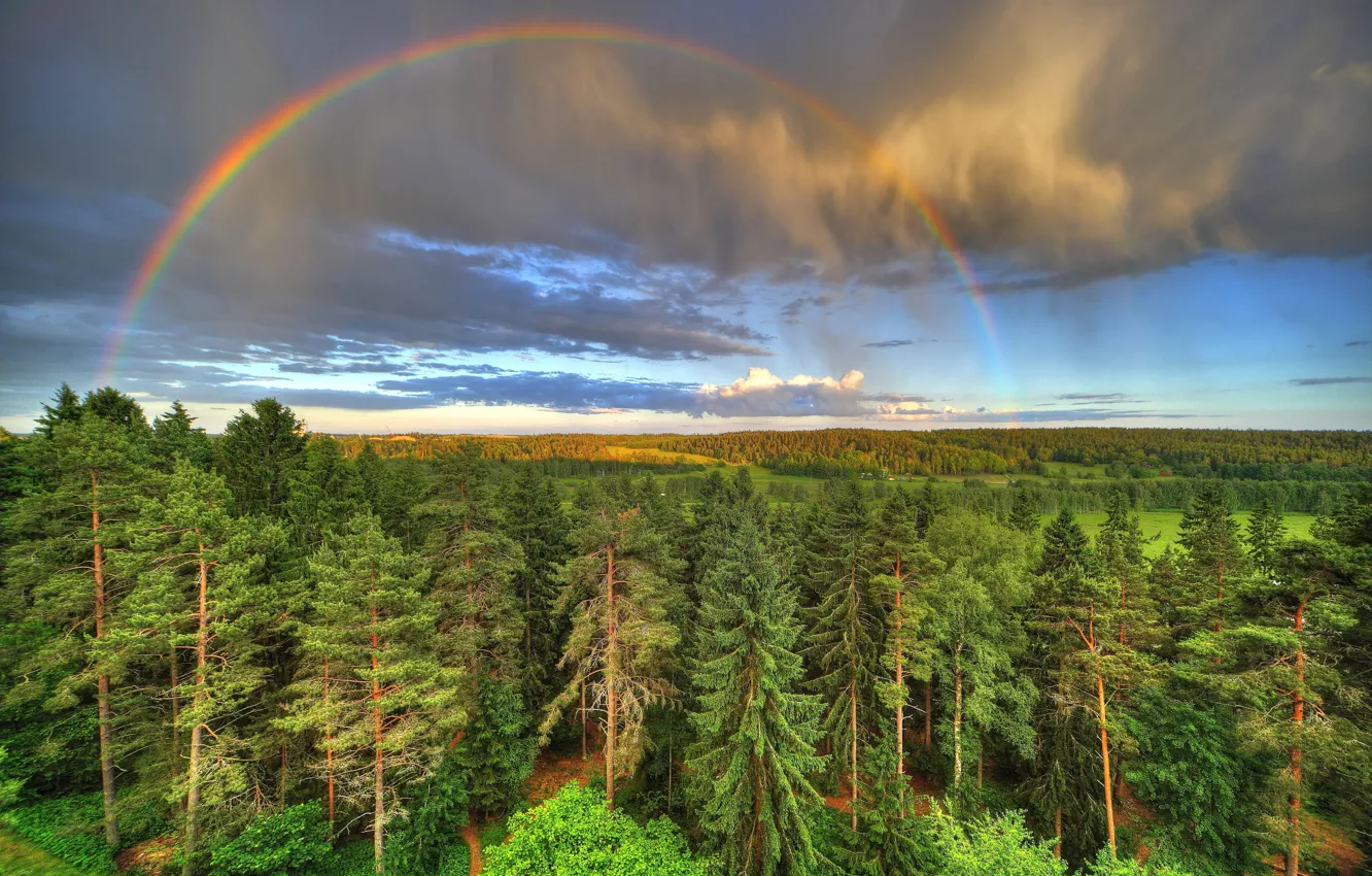Photo wallpaper forest, the sky, clouds, trees, clouds, rainbow