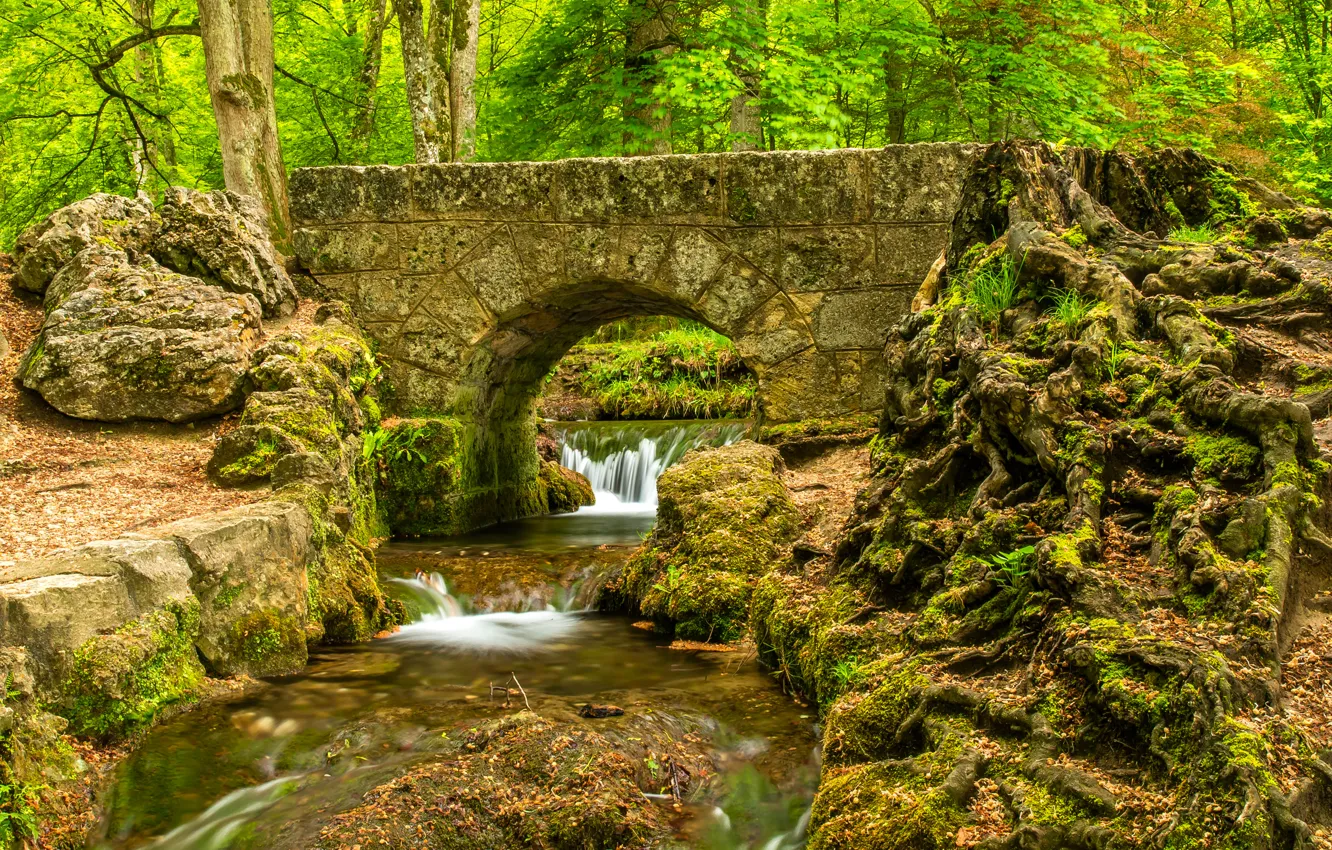 Photo wallpaper forest, trees, bridge, Park, river, stones, stream, thresholds