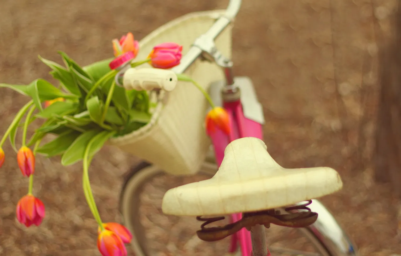 Photo wallpaper flowers, bike, bouquet, tulips, bike, flowers, tulips, bouquet