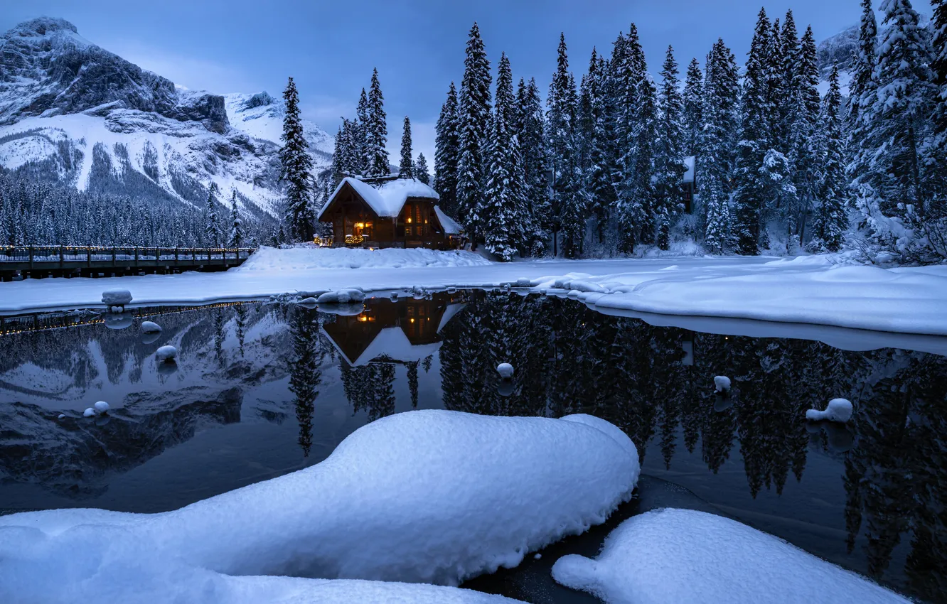 Photo wallpaper winter, forest, snow, mountains, night, bridge, lights, lake