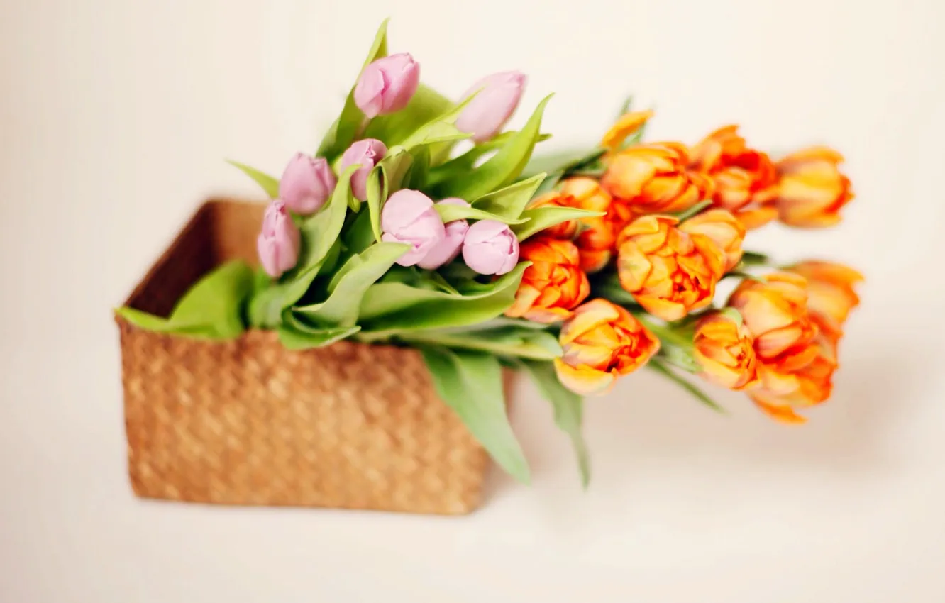 Photo wallpaper basket, tulips, tulips, basket, flowers bouquet, bouquet flowers