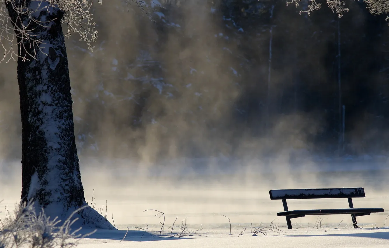 Photo wallpaper winter, fog, bench