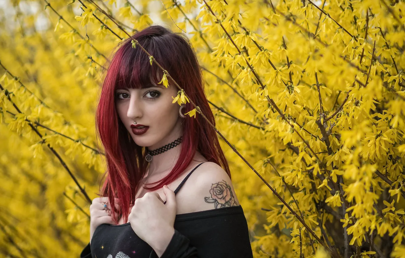 Photo wallpaper look, girl, hair, piercing, tattoo