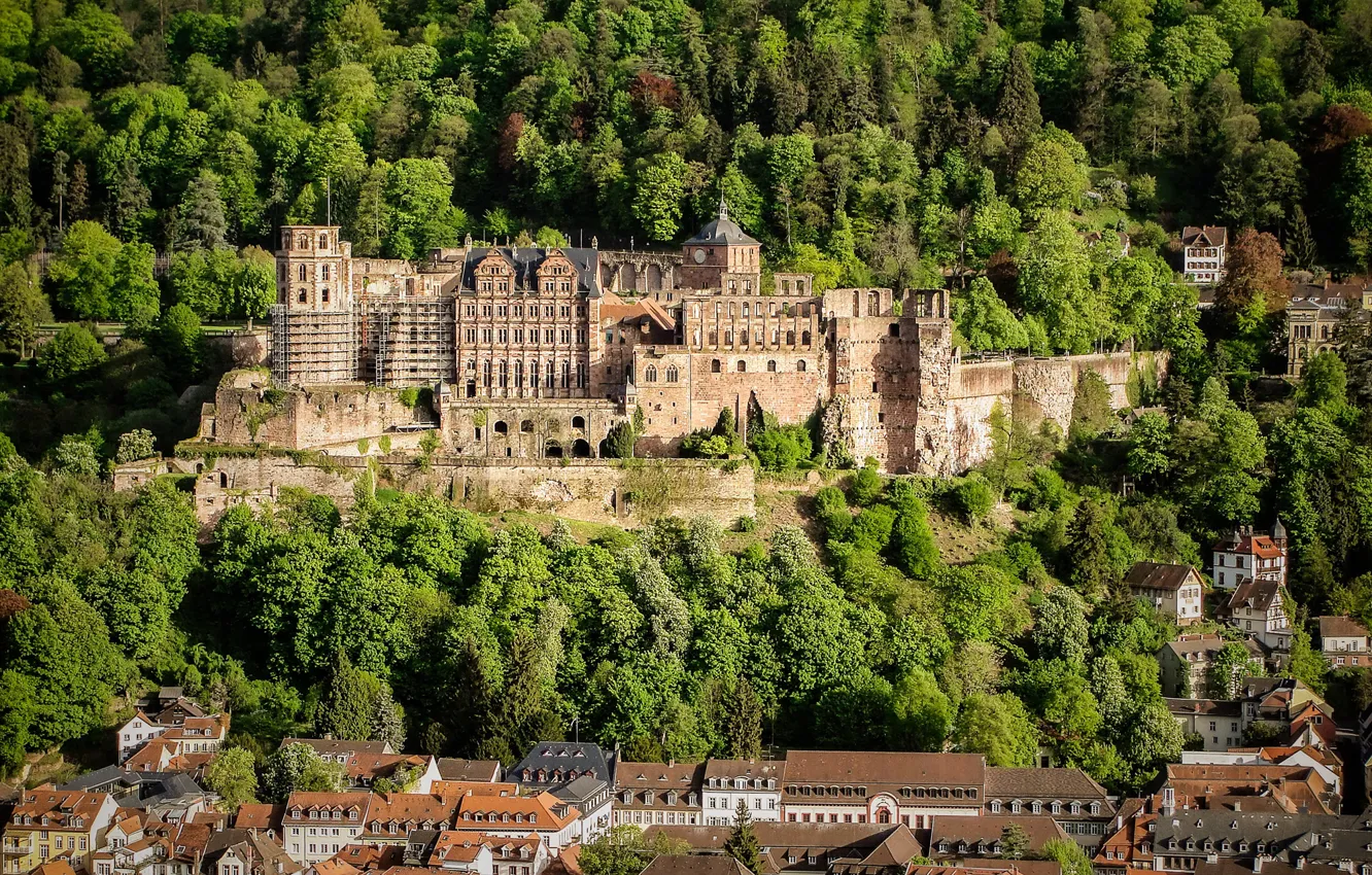 Photo wallpaper forest, trees, castle, home, Germany, Heidelberg Castle