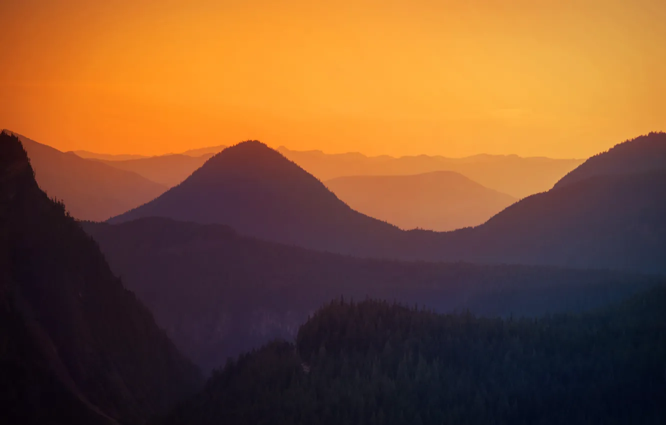 Photo wallpaper trees, sunset, hills, view