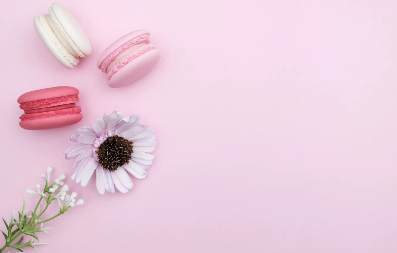 Photo wallpaper flowers, cake, cakes, pasta