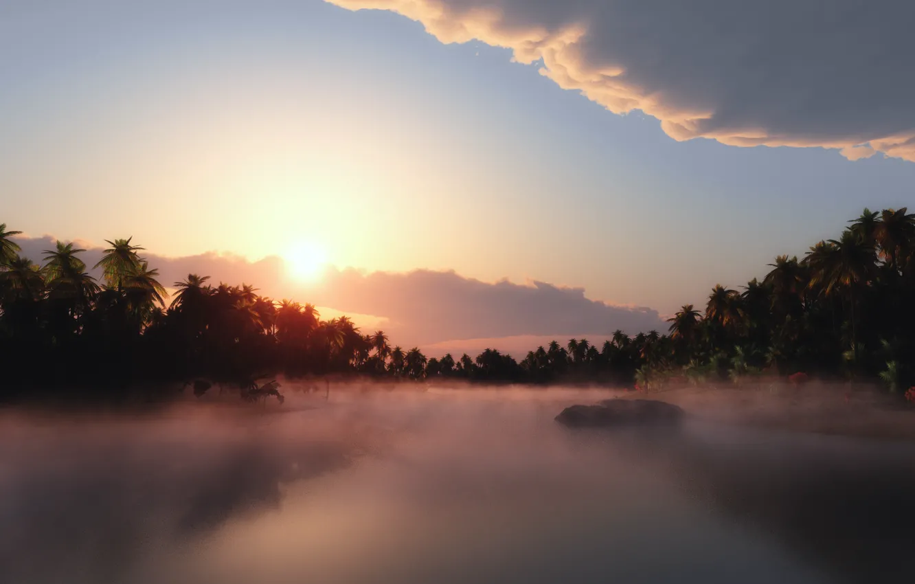 Photo wallpaper the sky, the sun, clouds, fog, palm trees