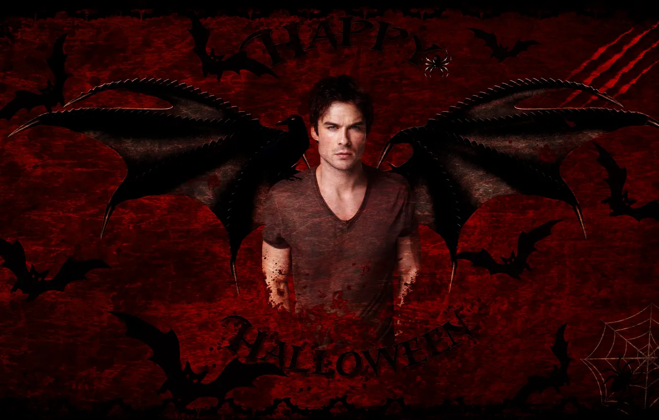 Photo wallpaper wings, vampire, bat, the series, the vampire diaries, halloween, Halloween, Damon Salvatore