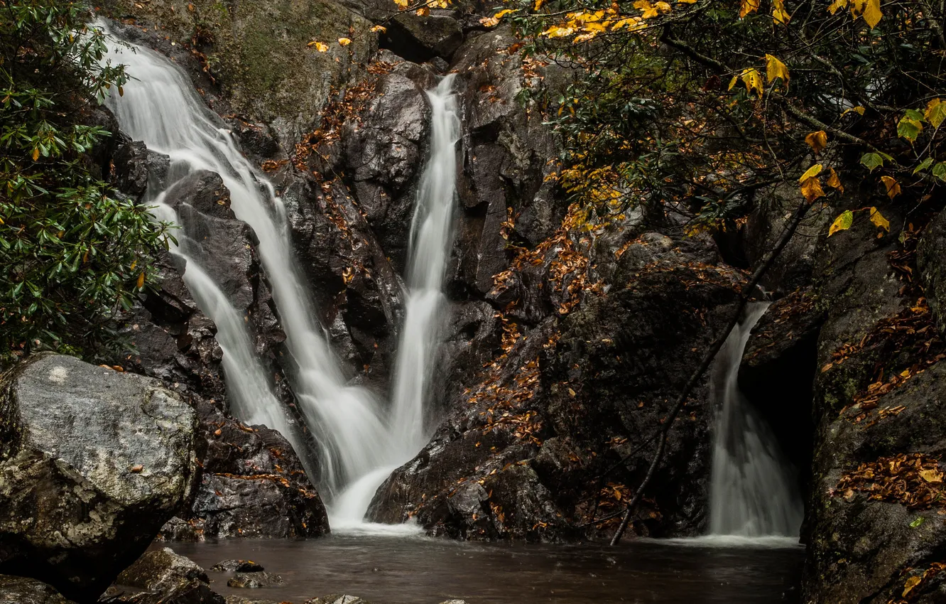 Photo wallpaper autumn, leaves, branches, stones, waterfall