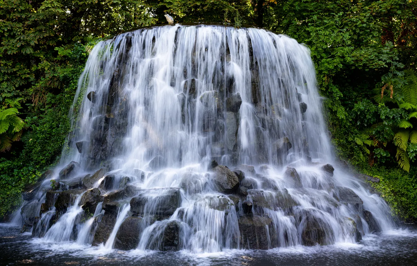 Photo wallpaper trees, stones, waterfall