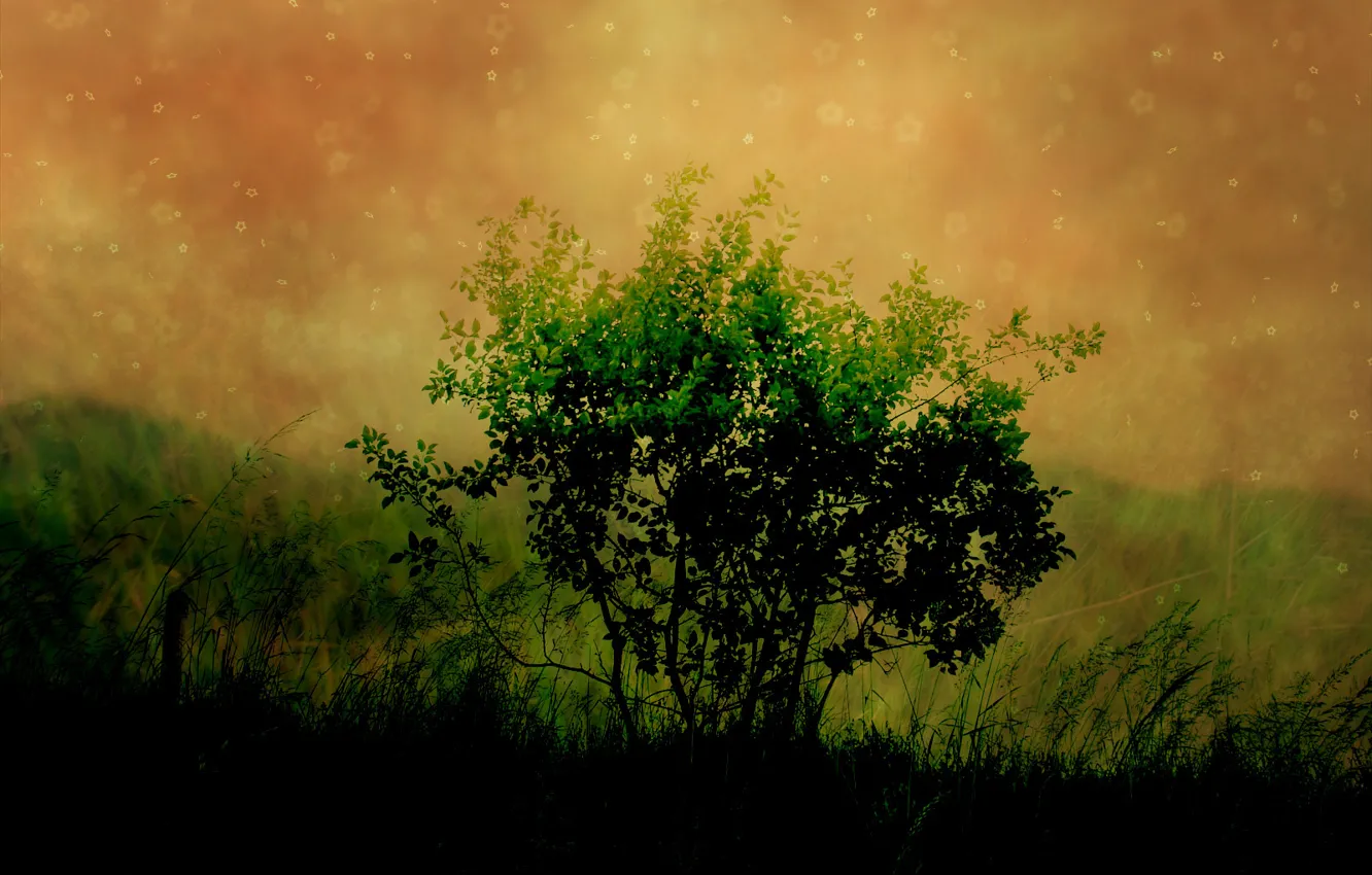 Photo wallpaper greens, darkness, tree, figure