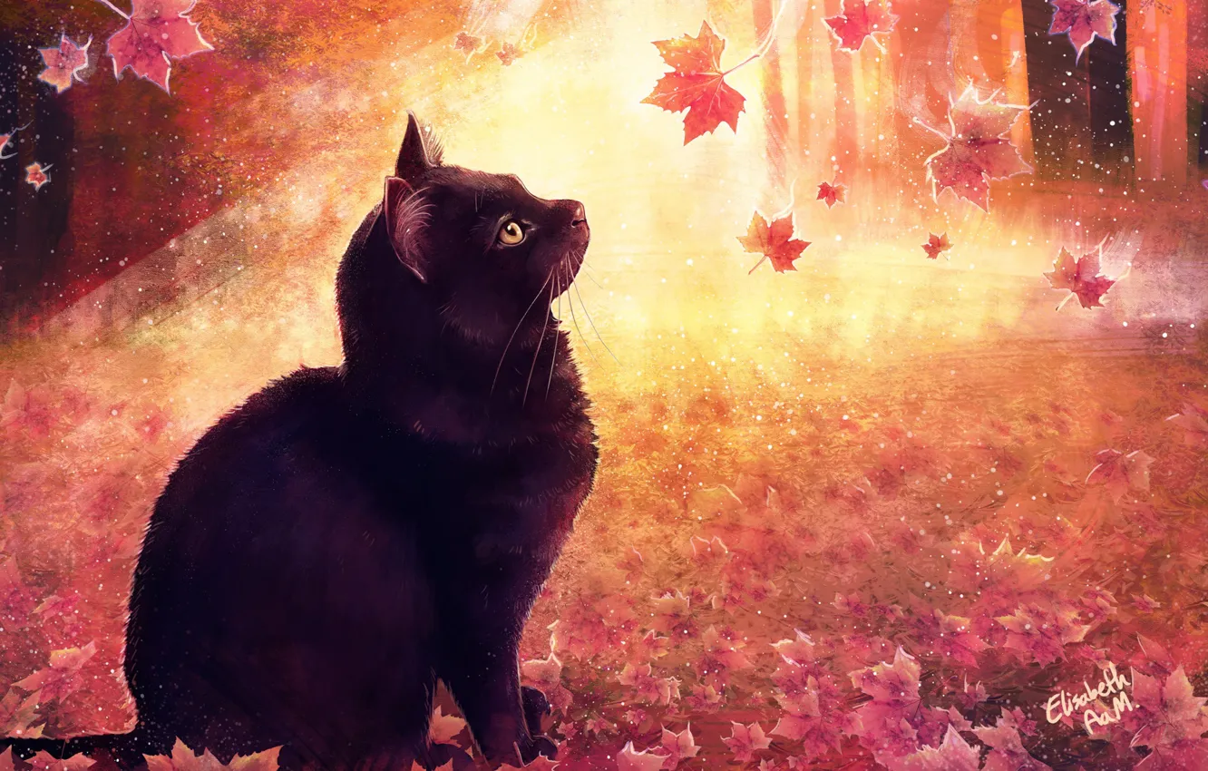 Photo wallpaper Figure, Cat, Autumn, Leaves, Cat, Art, Cat, Illustration