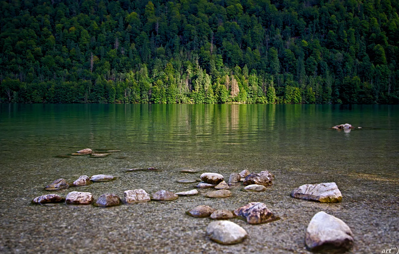 Photo wallpaper forest, light, mountains, lake, stones