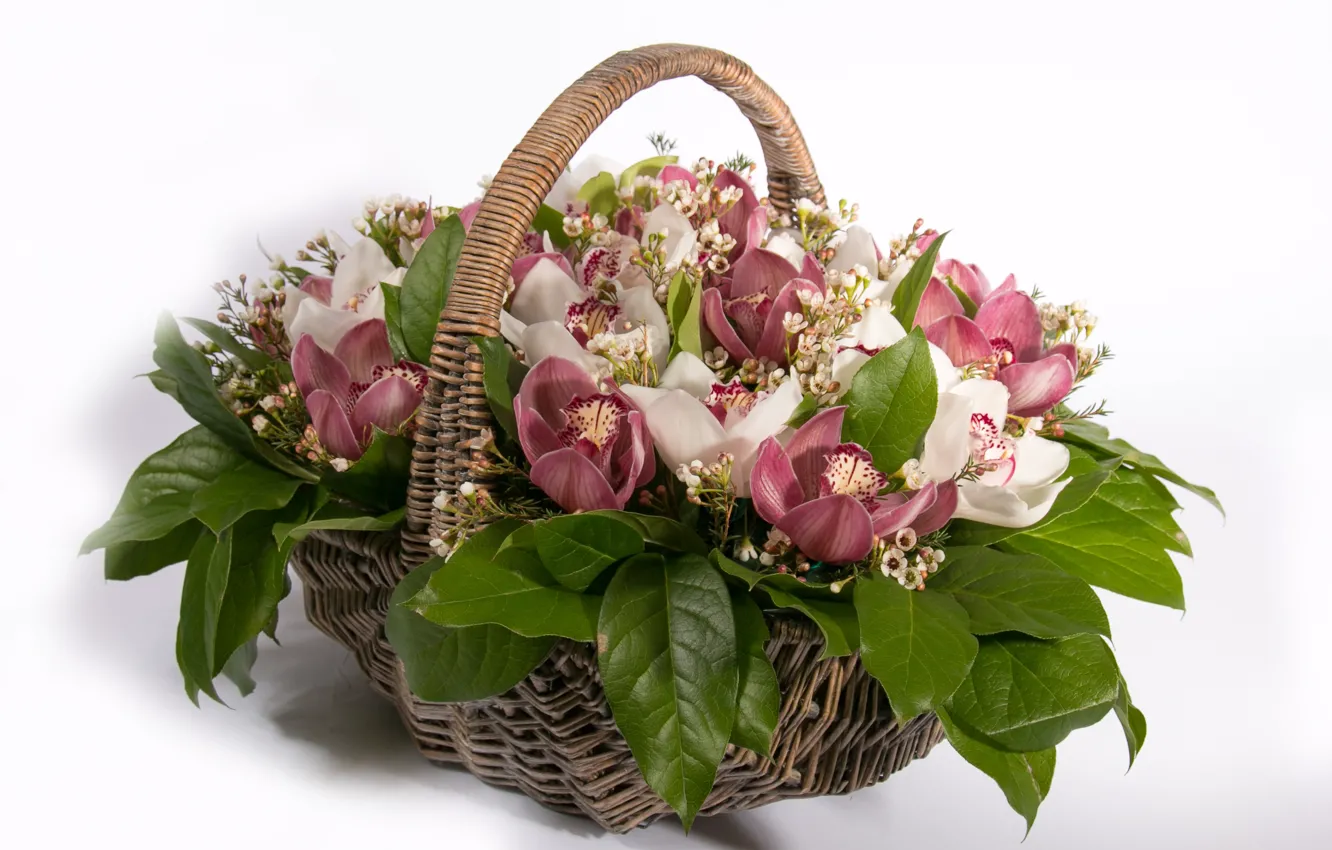 Photo wallpaper basket, roses, orchids