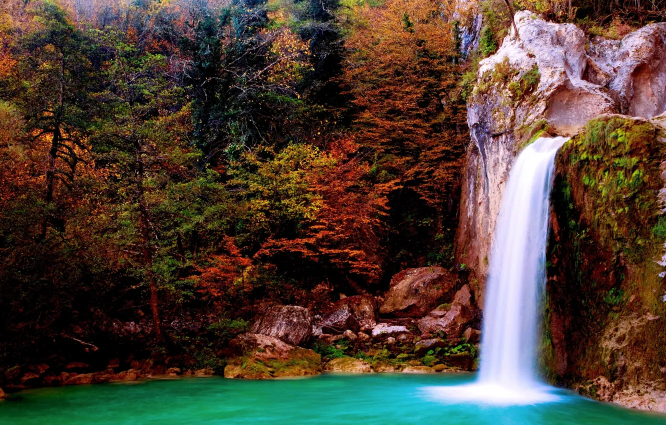 Photo wallpaper autumn, forest, trees, stones, waterfall