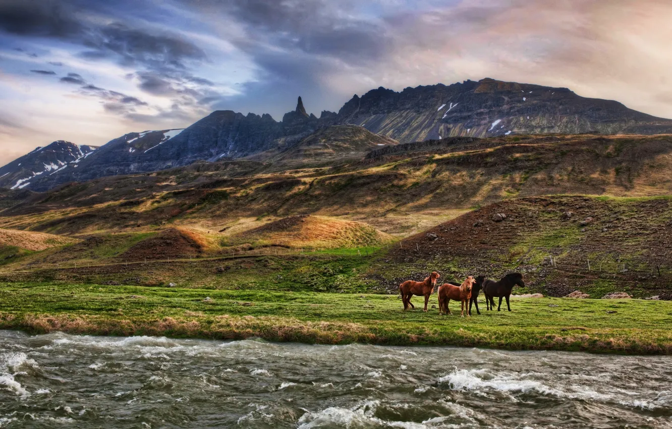 Photo wallpaper clouds, mountains, river, horse