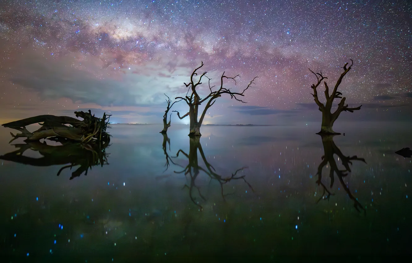 Photo wallpaper stars, light, trees, night, branches, lake, reflection, snag