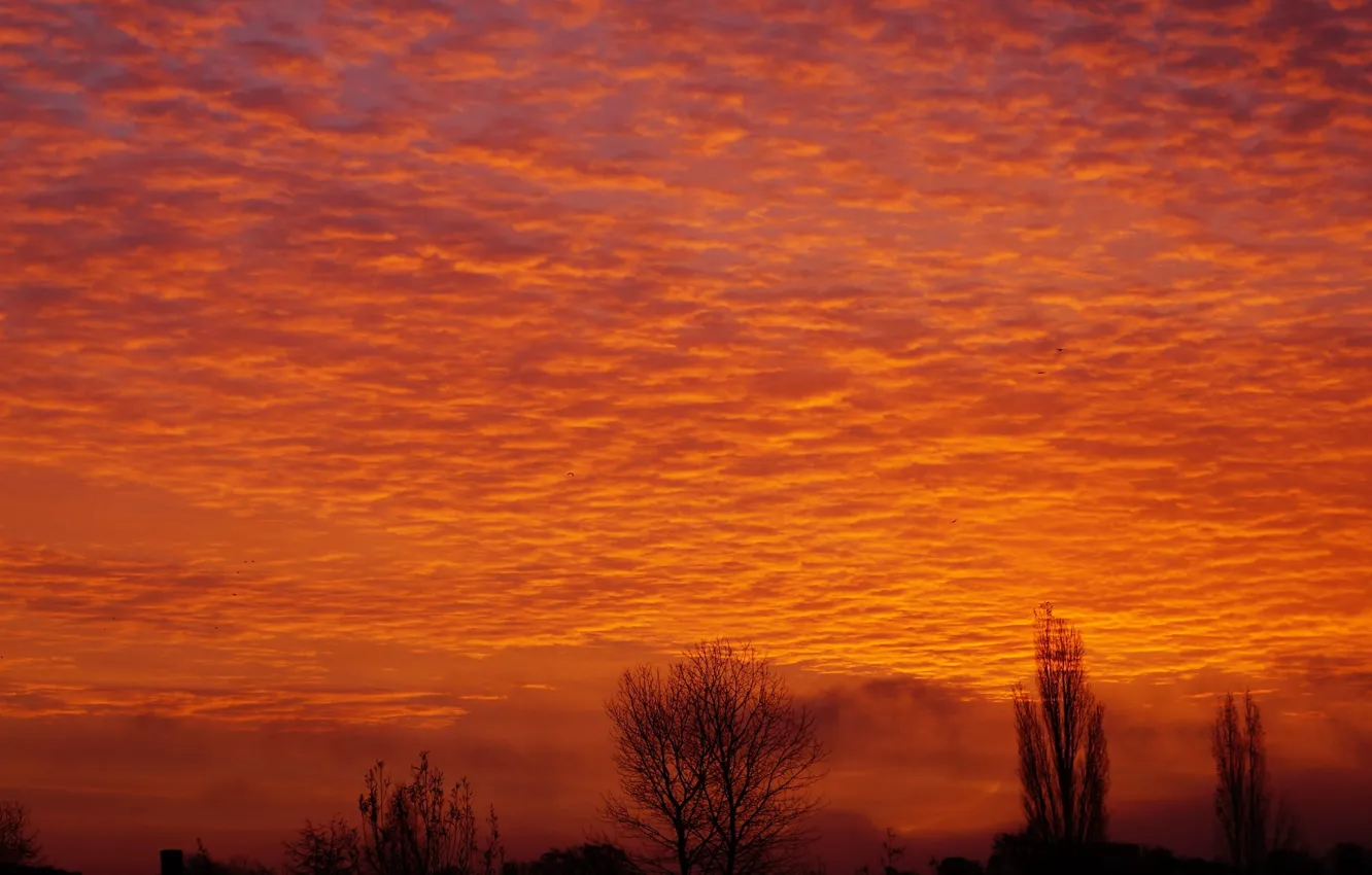 Photo wallpaper red, sky, sunset, cloud, morning