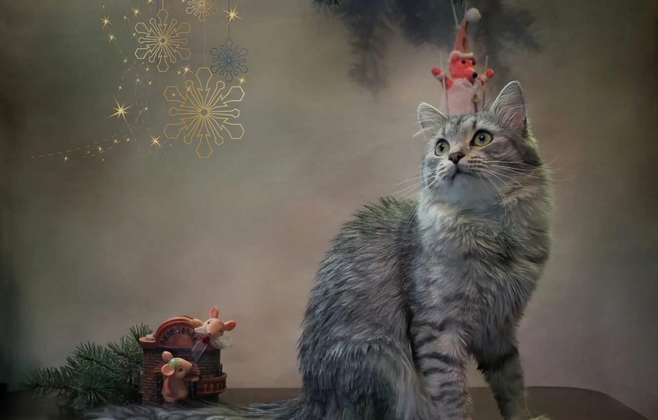 Photo wallpaper cat, cat, snowflakes, animal, new year, spruce, branch, mouse