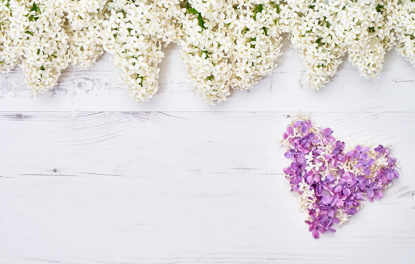 Photo wallpaper white, flowers, heart, love, white, heart, wood, flowers