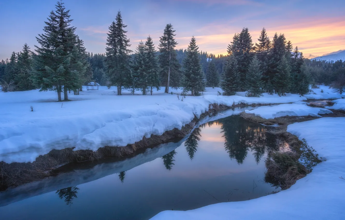 Photo wallpaper winter, forest, the sky, snow, lake, reflection, river, shore