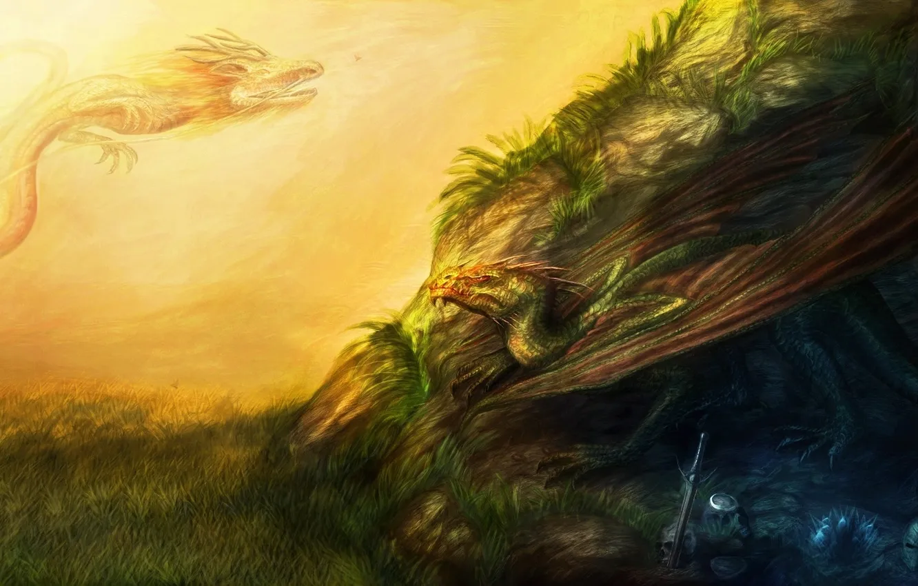 Photo wallpaper grass, hills, dragon, skull, sword, art, bones