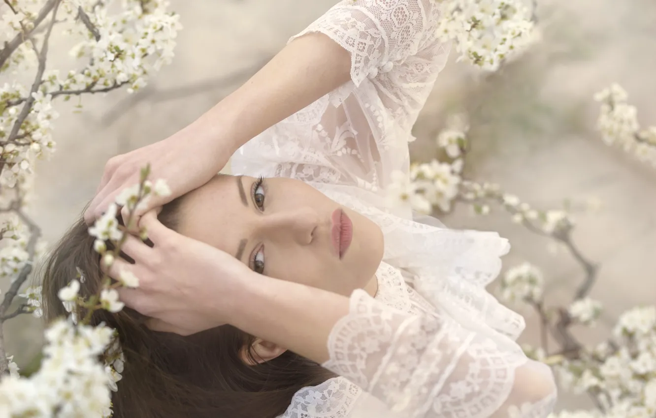 Photo wallpaper white, look, girl, flowers, branches, cherry, pose, portrait