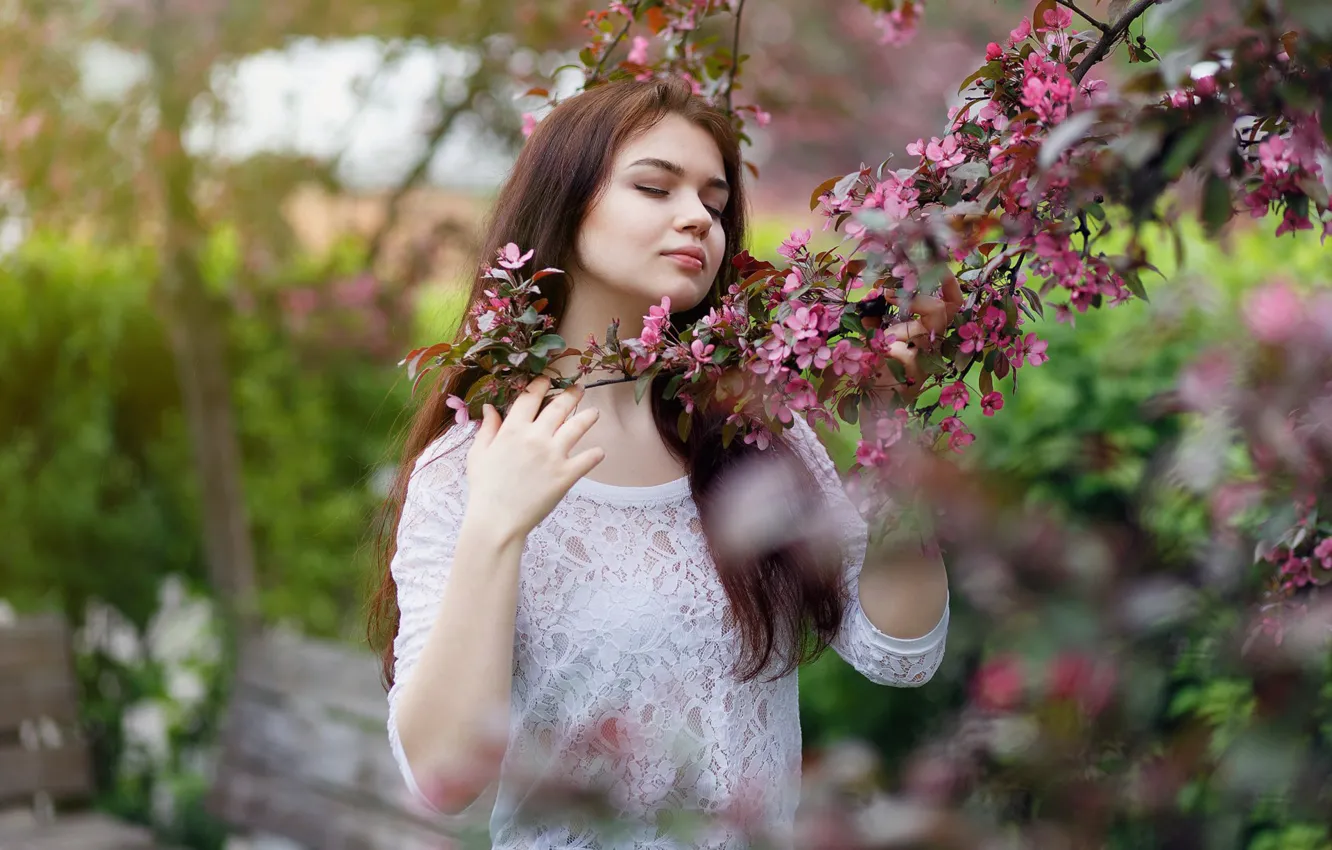 Photo wallpaper tenderness, sponge, flowering