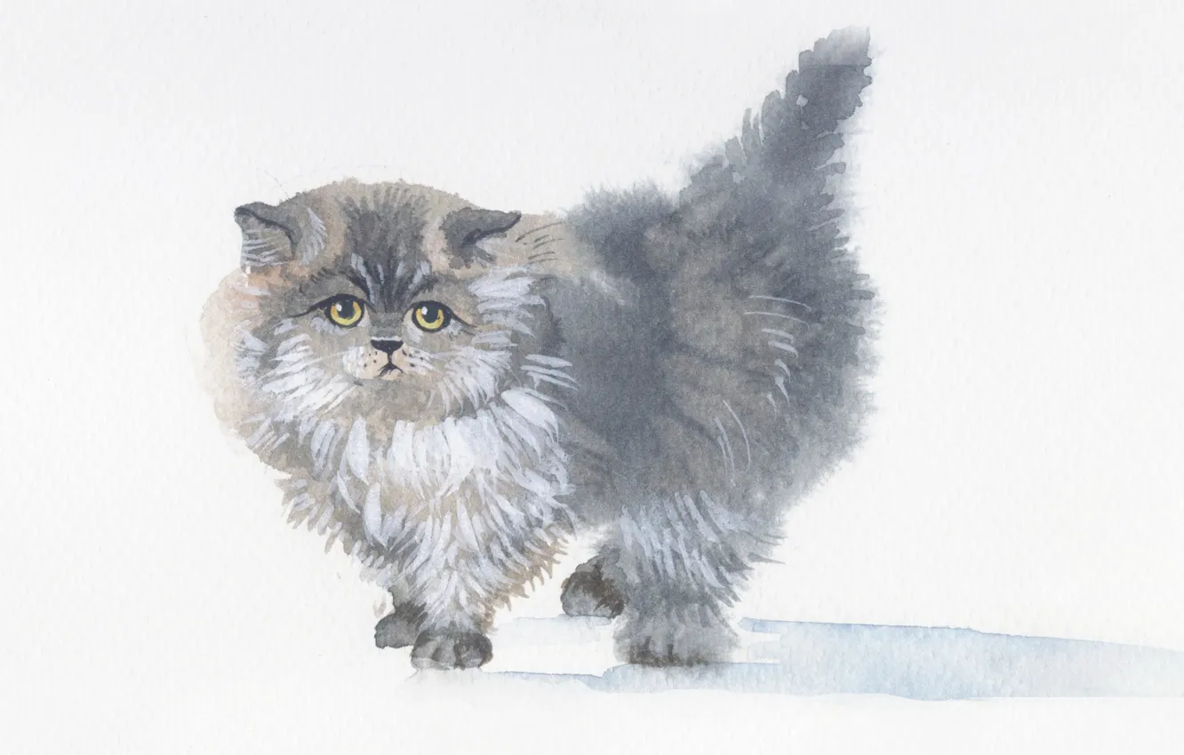 Photo wallpaper kitty, grey, picture, fluffy, art, watercolor, painting