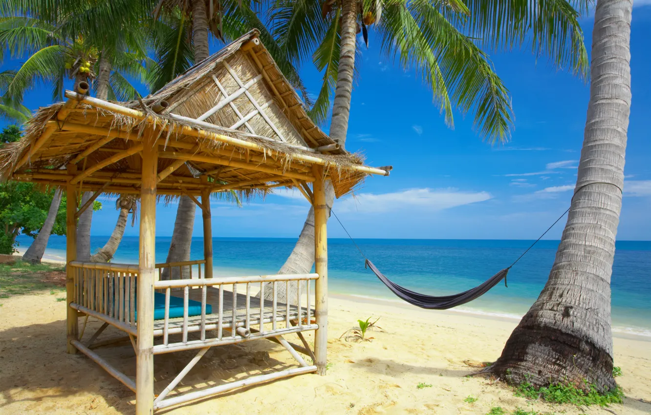 Photo wallpaper sand, palm trees, hammock, Bungalow